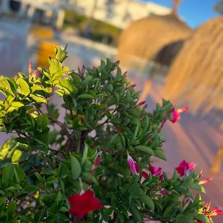 Appartement Monte Miraflores